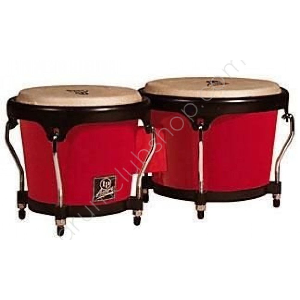 Latin percussion outlet aspire bongos